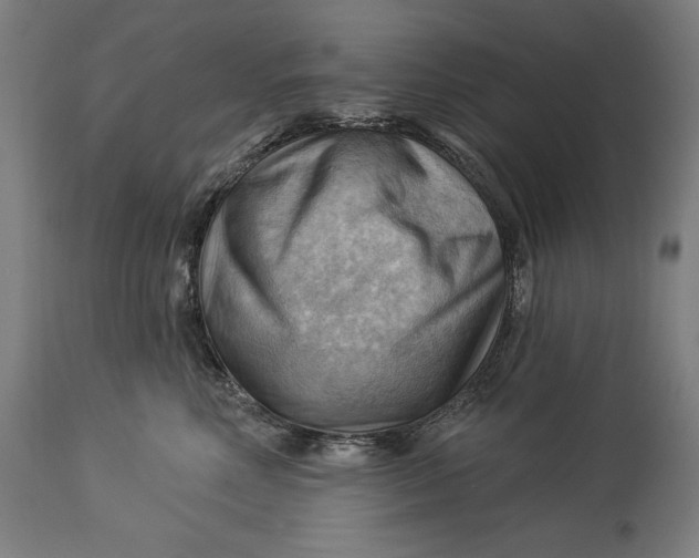 X0000114530618200911091112