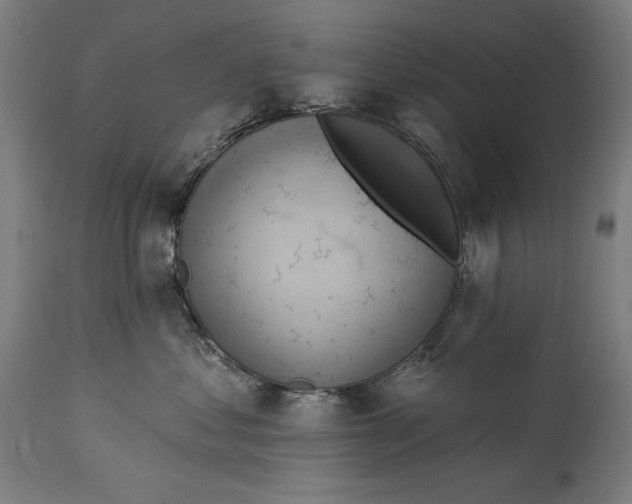 X0000114530621200911091112