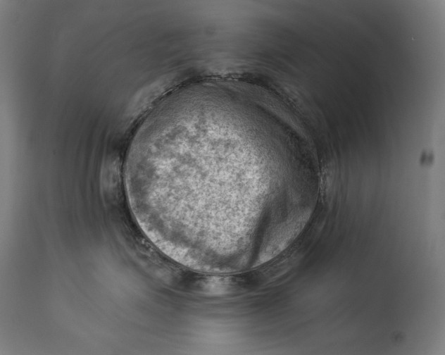 X0000114530623200911091112