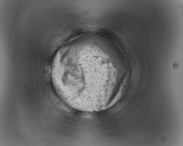 X0000114530624200911091112