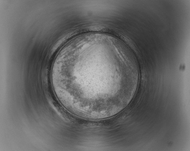 X0000114530626200911091111