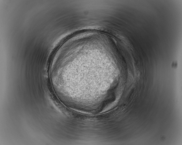 X0000114530628200911091111