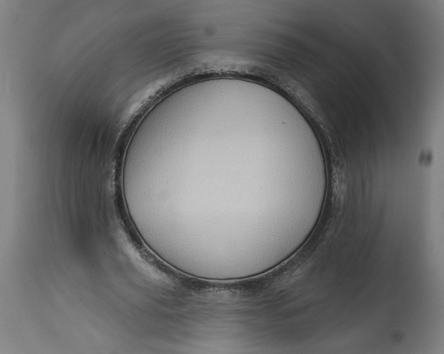 X0000114530629200911091111
