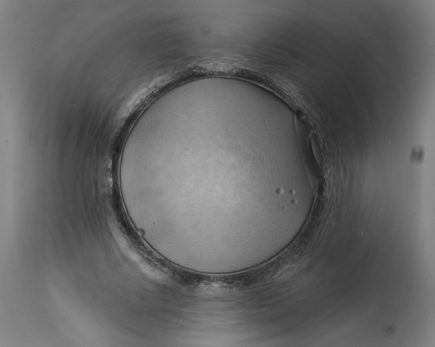 X0000114530634200911091111