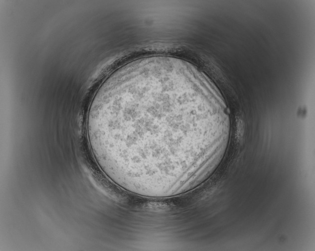 X0000114530636200911091111