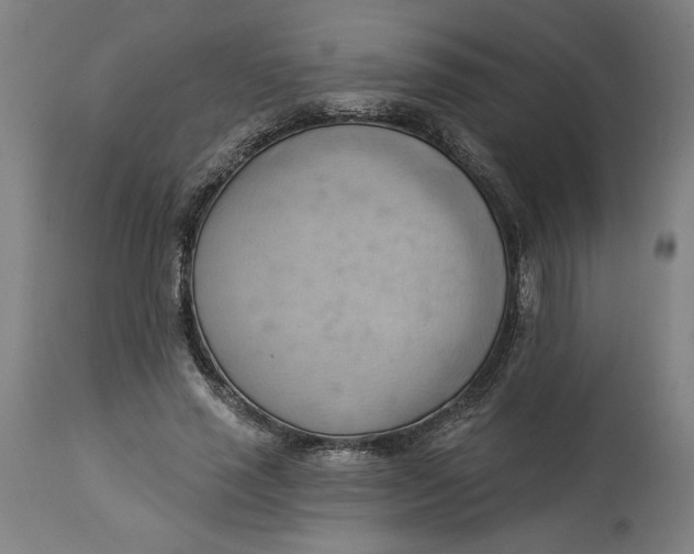X0000114530637200911091111