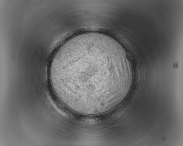 X0000114530638200911091112