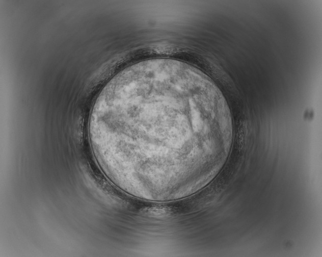 X0000114530639200911091112