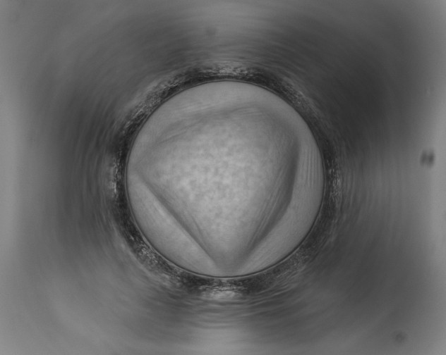 X0000114530643200911091112