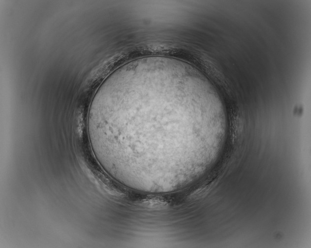 X0000114530644200911091112
