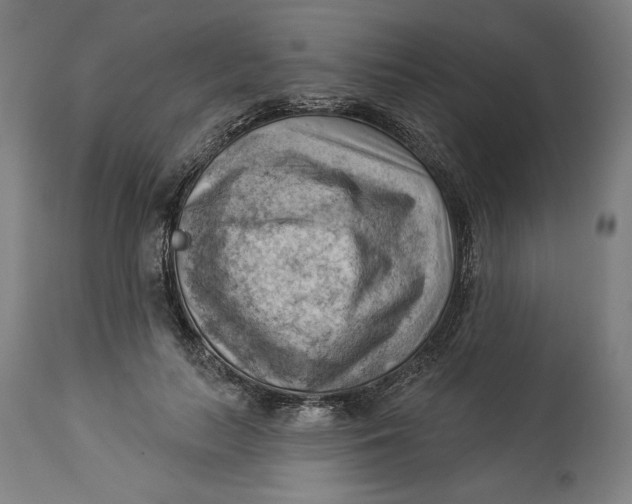 X0000114530647200911091112