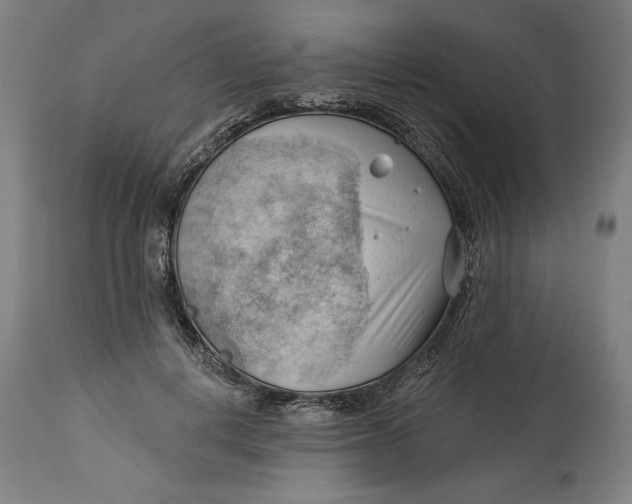 X0000114530648200911091112