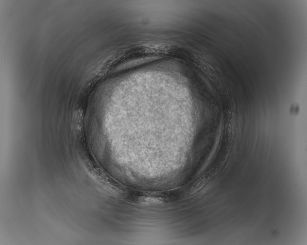 X0000114530649200911091112