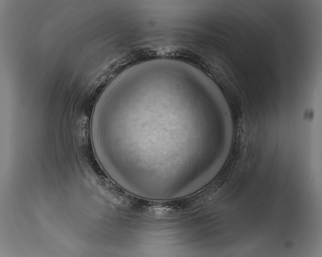 X0000114530650200911091112