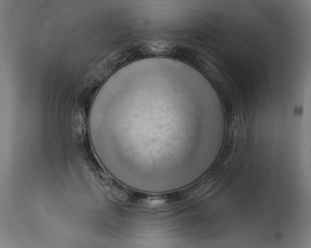X0000114530651200911091112