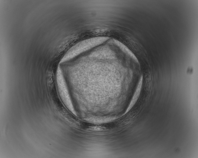 X0000114530654200911091112