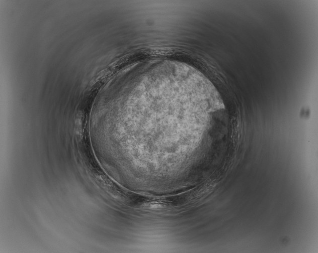 X0000114530655200911091112