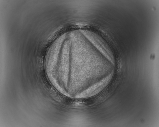 X0000114530657200911091112