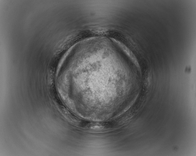 X0000114530658200911091112
