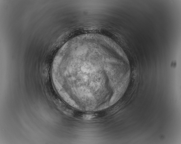 X0000114530662200911091112
