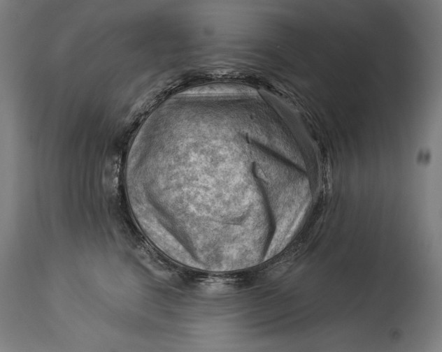 X0000114530664200911091112