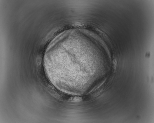 X0000114530665200911091112