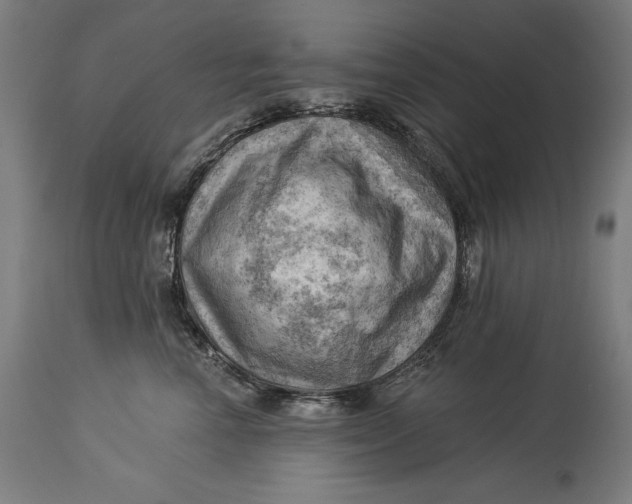 X0000114530666200911091112