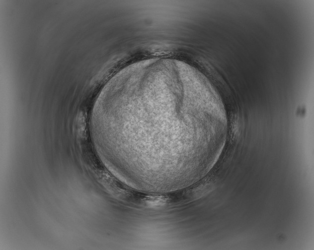X0000114530667200911091112