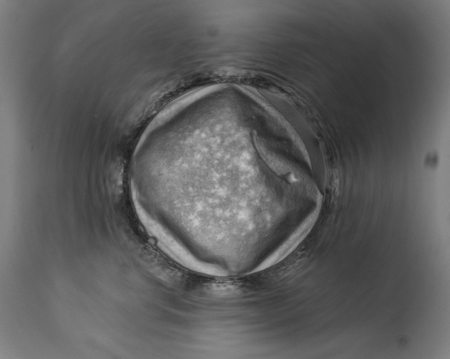 X0000114530668200911091112
