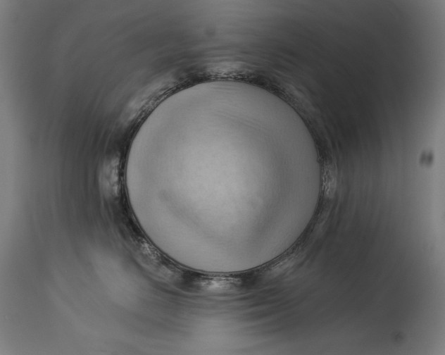 X0000114530670200911091112