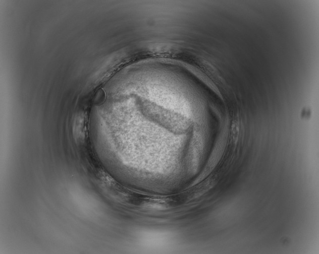X0000114530671200911091112