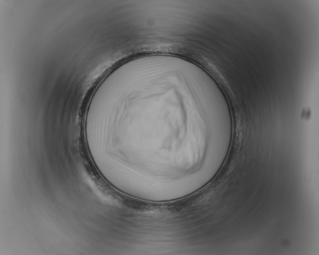 X0000114530674200911091111