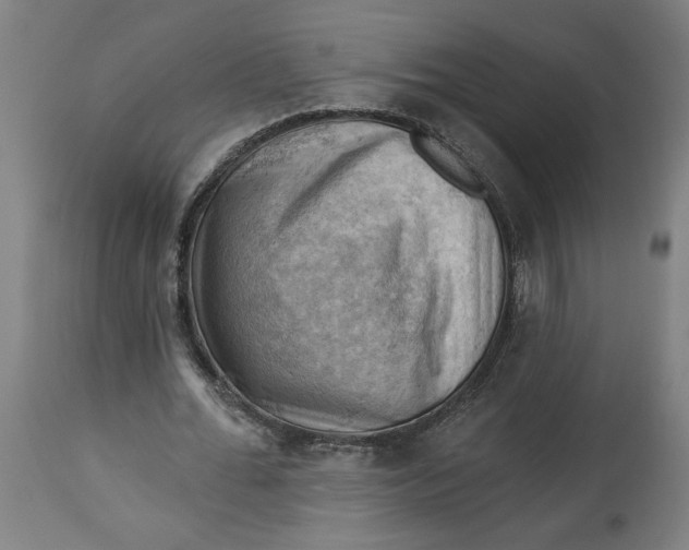 X0000114530676200911091111