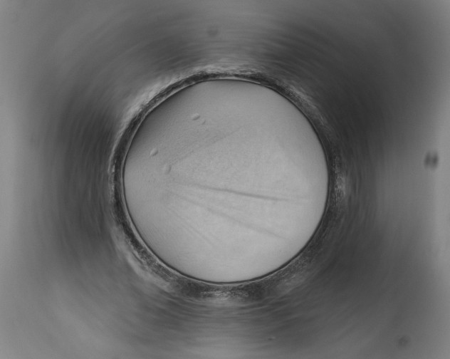 X0000114530678200911091111