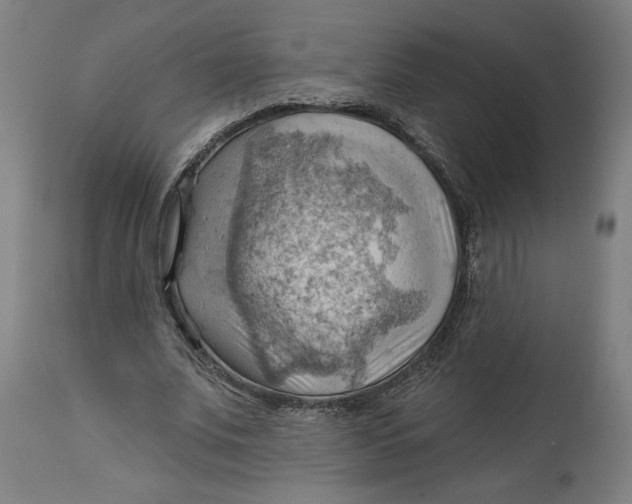 X0000114530679200911091111