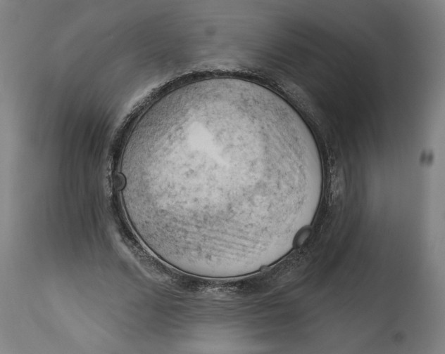 X0000114530680200911091111