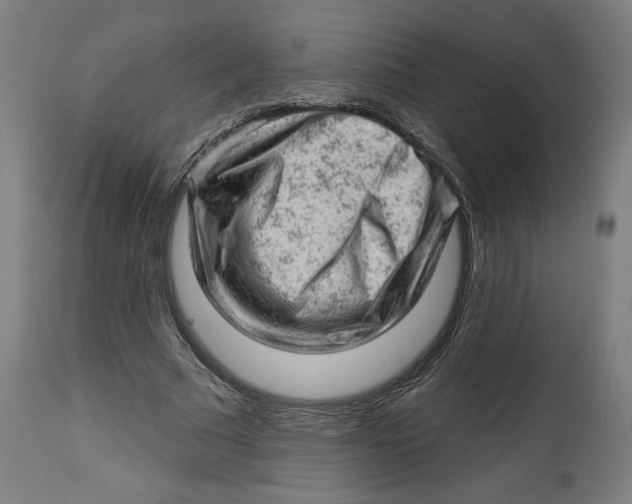X0000114530681200911091111