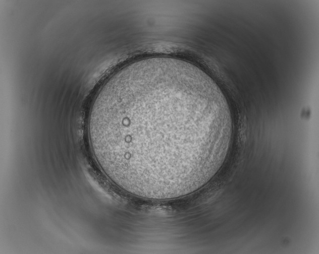 X0000114530683200911091111
