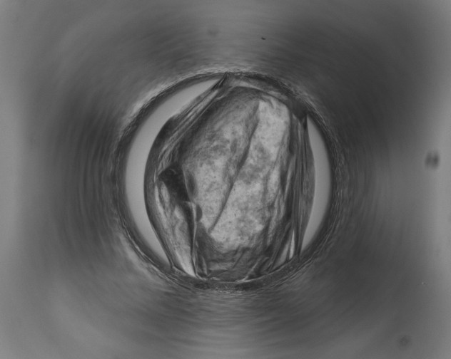 X0000114530684200911091111