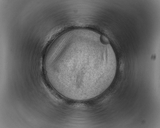 X0000114530685200911091111