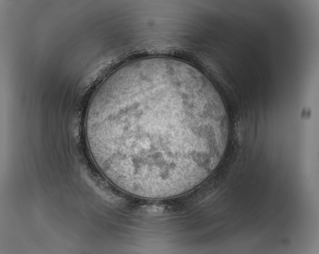 X0000114530687200911091111