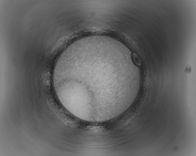 X0000114530689200911091111