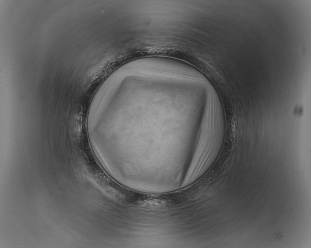 X0000114530691200911091111