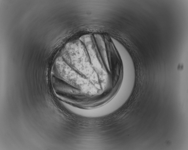 X0000114530696200911091111