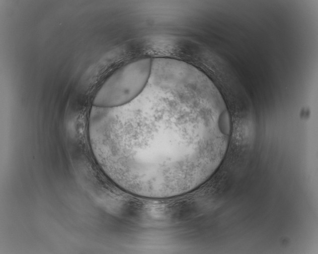 X0000114530701200911091111