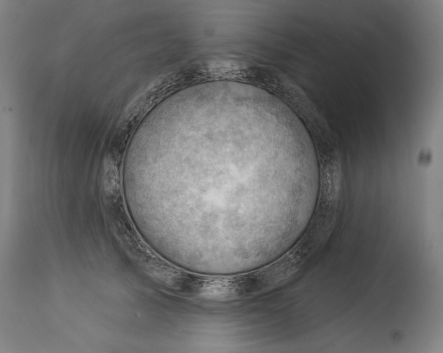 X0000114530705200911091111