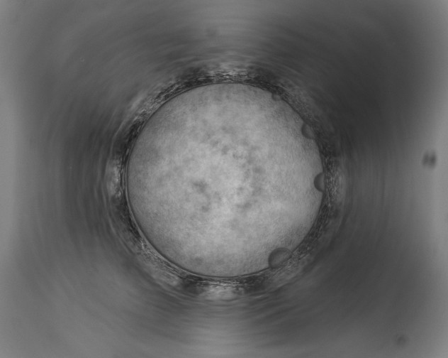 X0000114530709200911091111