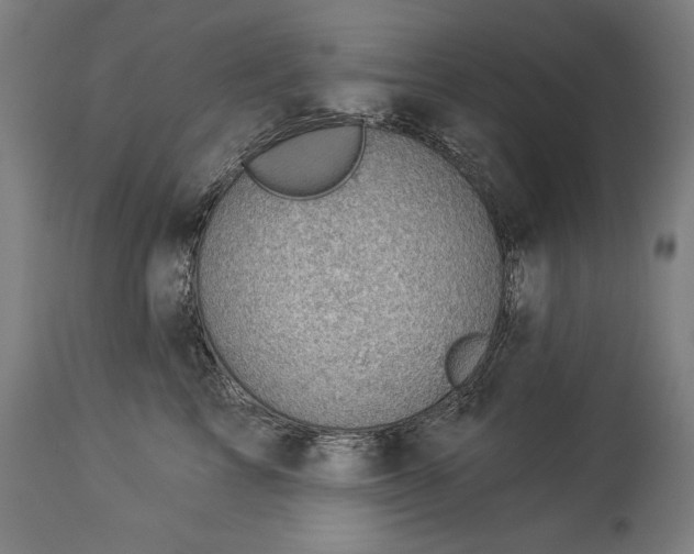 X0000114530713200911091111