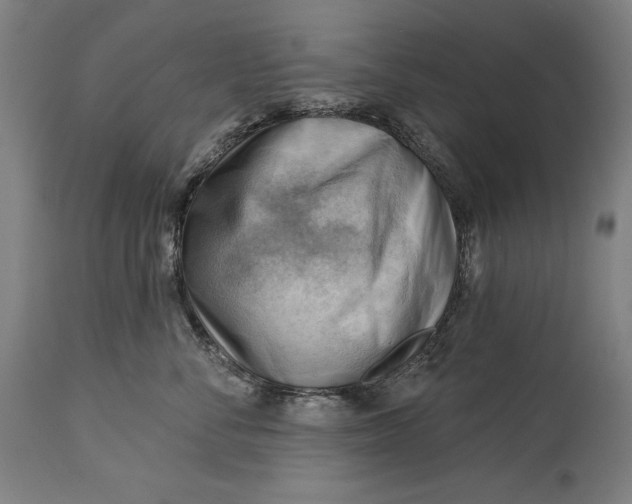 X0000114530716200911091111