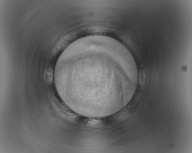 X0000114530718200911091111